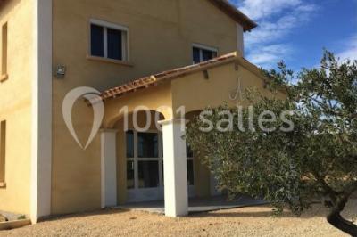 Vignes verdoyantes sous un ciel bleu dégagé, bordées d'arbres et d'un chemin de terre.