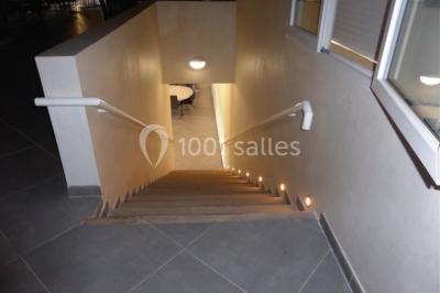 Vignes verdoyantes sous un ciel bleu dégagé, bordées d'arbres et d'un chemin de terre.