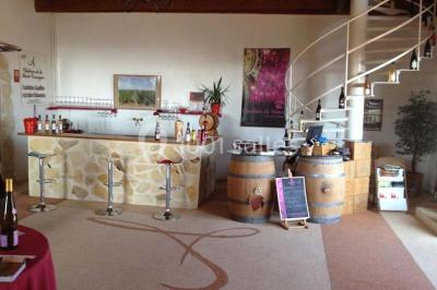 Vignes verdoyantes sous un ciel bleu dégagé, bordées d'arbres et d'un chemin de terre.