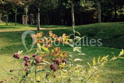 Location salle Andé (Eure) - Château D'ande #21