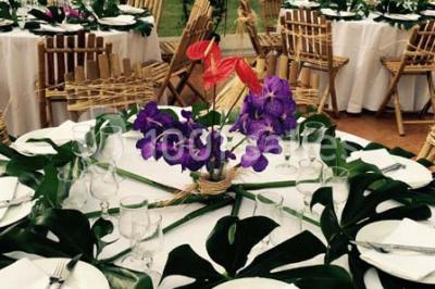 Miniature Location salle Andé (Eure) - Château D'ande #12 Location salle Andé (Eure) - Château D'ande #24