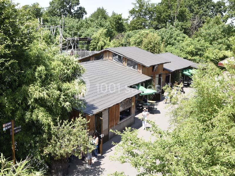 Location salle Amnéville (Moselle) - Zoo D'amnéville #10