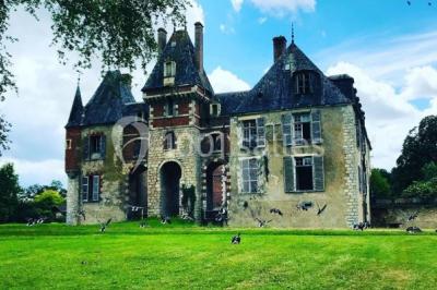 Location salle Beaulieu-sur-Loire (Loiret) - Château de Courcelles Le Roy #22