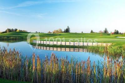 Paysage de terrain de golf avec pelouses verdoyantes, drapeau sur le green et maisons en arrière-plan.