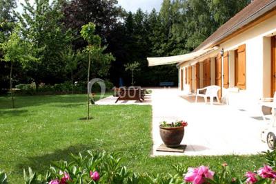 Terrasse ensoleillée avec tables et chaises en bois, entourée de verdure et d'une façade recouverte de lierre.