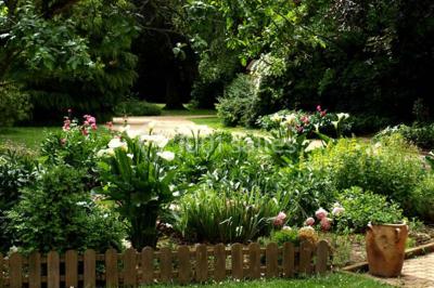Terrasse ensoleillée avec tables et chaises en bois, entourée de verdure et d'une façade recouverte de lierre.