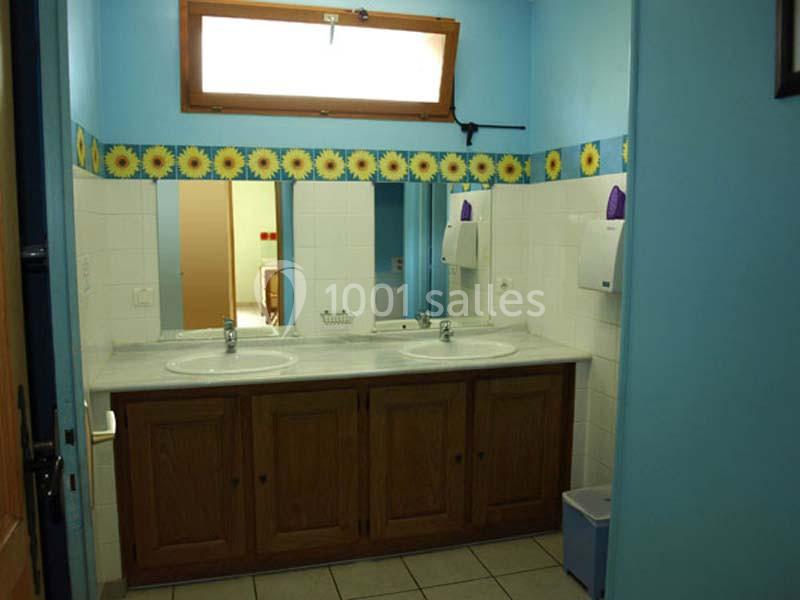 Deux lavabos avec miroirs dans une salle de bain aux murs bleus, décorée d'une frise de tournesols.