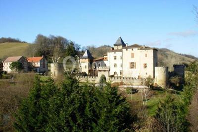 Location salle Montégut-Plantaurel (Ariège) - Château de la Hille #22