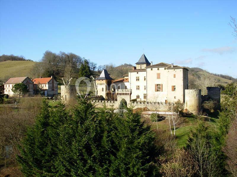 Location salle Montégut-Plantaurel (Ariège) - Château de la Hille #9