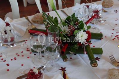 Location salle Montégut-Plantaurel (Ariège) - Château de la Hille #22