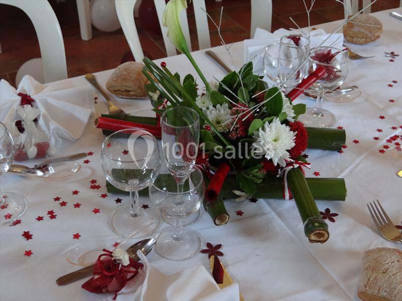 Location salle Montégut-Plantaurel (Ariège) - Château de la Hille #18