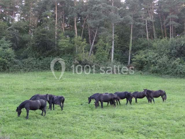 Location salle Montégut-Plantaurel (Ariège) - Château de la Hille #8