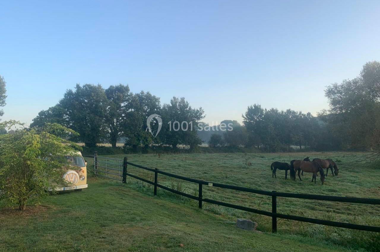 Un pré verdoyant avec des chevaux broutant près d'une clôture en bois, sous un ciel clair au lever du jour.