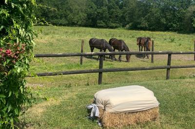 Chambre avec lit double, tête de lit en bois, bureau, chaise, robe blanche sur un mannequin et tableau coloré au mur.