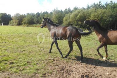 Chambre avec lit double, tête de lit en bois, bureau, chaise, robe blanche sur un mannequin et tableau coloré au mur.