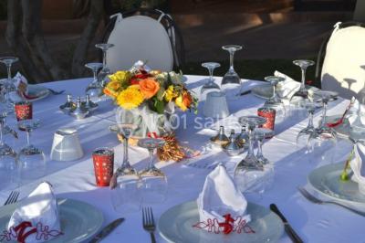 Location salle Mont-de-Marsan (Landes) - Domaine De Tameslohte #17