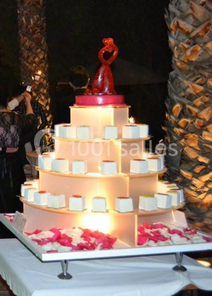 Location salle Mont-de-Marsan (Landes) - Domaine De Tameslohte #17