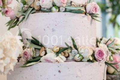 Location salle Opio (Alpes-Maritimes) - Villa Lavender Blue #17