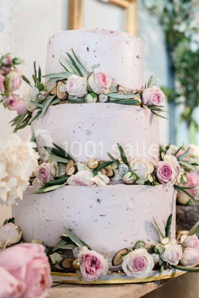 Location salle Opio (Alpes-Maritimes) - Villa Lavender Blue #17