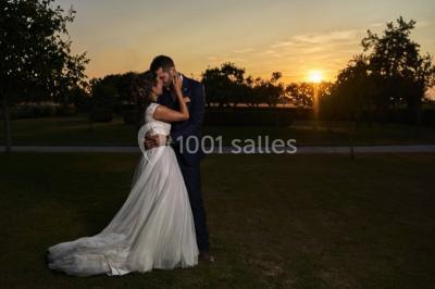 Cuisine professionnelle avec plans de travail en inox, assiettes alignées, et plats préparés sur un évier.