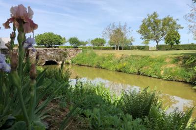 Cuisine professionnelle avec plans de travail en inox, assiettes alignées, et plats préparés sur un évier.