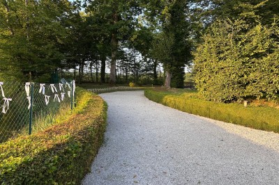 Cuisine professionnelle avec plans de travail en inox, assiettes alignées, et plats préparés sur un évier.