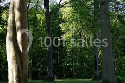 Cuisine professionnelle avec plans de travail en inox, assiettes alignées, et plats préparés sur un évier.
