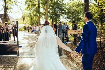 Cuisine professionnelle avec plans de travail en inox, assiettes alignées, et plats préparés sur un évier.