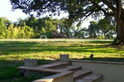 Un couple regarde un feu d'artifice illuminant le ciel nocturne, entouré d'arbres sombres.