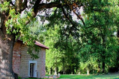 Un couple regarde un feu d'artifice illuminant le ciel nocturne, entouré d'arbres sombres.