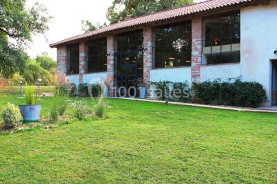Un couple regarde un feu d'artifice illuminant le ciel nocturne, entouré d'arbres sombres.