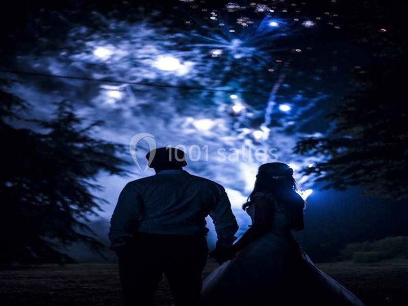 Un couple regarde un feu d'artifice illuminant le ciel nocturne, entouré d'arbres sombres.