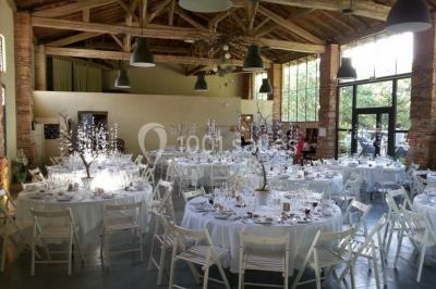 Un couple regarde un feu d'artifice illuminant le ciel nocturne, entouré d'arbres sombres.