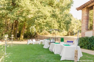 Un couple regarde un feu d'artifice illuminant le ciel nocturne, entouré d'arbres sombres.