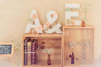 Un couple regarde un feu d'artifice illuminant le ciel nocturne, entouré d'arbres sombres.