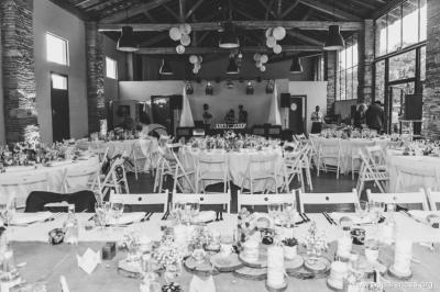 Un couple regarde un feu d'artifice illuminant le ciel nocturne, entouré d'arbres sombres.