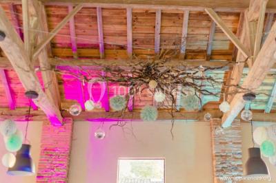 Un couple regarde un feu d'artifice illuminant le ciel nocturne, entouré d'arbres sombres.