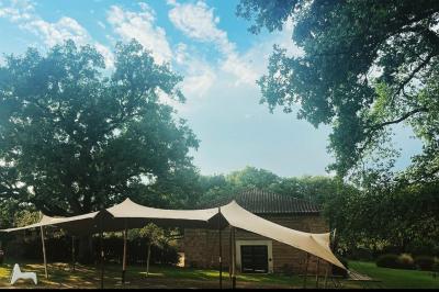 Un couple regarde un feu d'artifice illuminant le ciel nocturne, entouré d'arbres sombres.