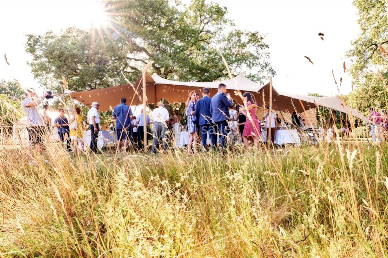 Groupe de personnes célébrant sous une tente en plein air, entouré d'herbes hautes et d'arbres sous un soleil éclatant.