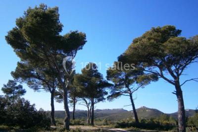 Location salle Peypin (Bouches-du-Rhône) - Les Salons De La Dolce Notte #16
