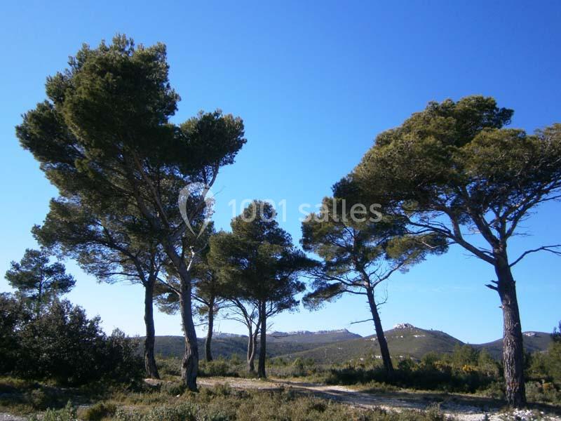 Location salle Peypin (Bouches-du-Rhône) - Les Salons De La Dolce Notte #16