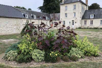 Canapé gris avec coussins, table basse avec magazines et télécommande, tableau mural et fenêtre laissant entrer la lumière.