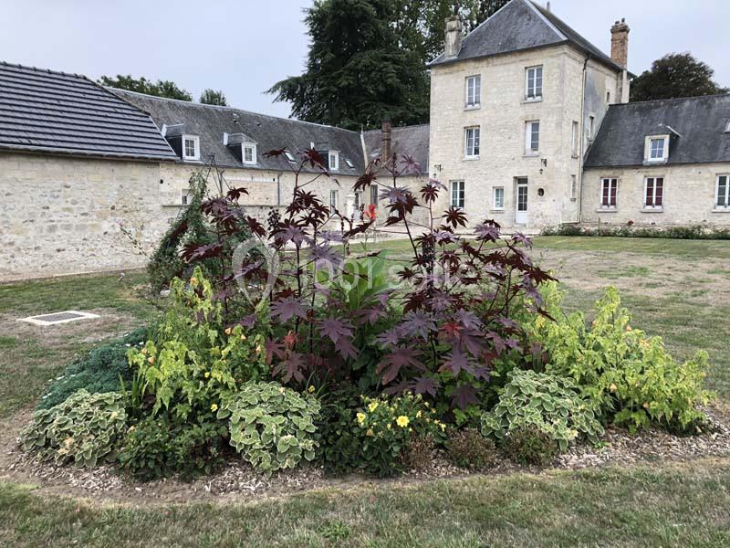 Massif de plantes colorées avec feuillages variés, devant un bâtiment en pierre à plusieurs fenêtres et toits en ardoise.