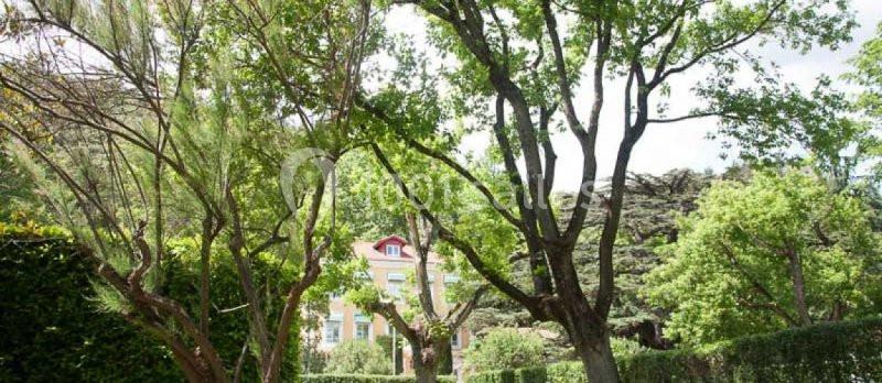 Location salle Soyons (Ardèche) - Le Cèdre De Soyons #13