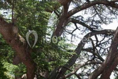 Location salle Soyons (Ardèche) - Le Cèdre De Soyons #19