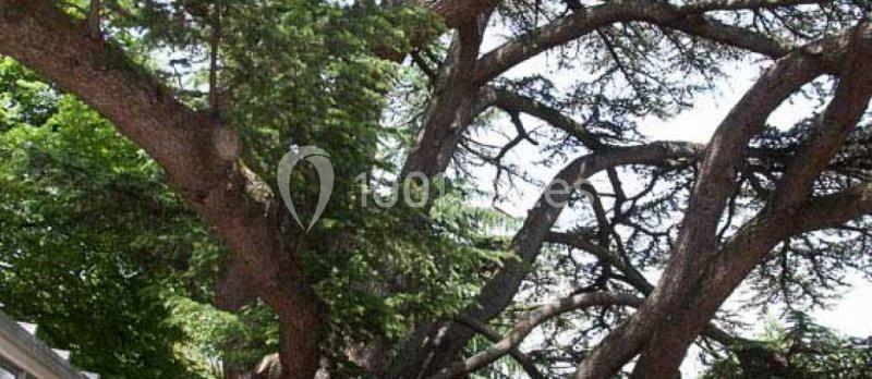 Location salle Soyons (Ardèche) - Le Cèdre De Soyons #15