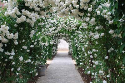 Miniature Location salle Beauvais (Oise) - La Maladrerie Saint Lazare #20 Location salle Beauvais (Oise) - La Maladrerie Saint Lazare #22