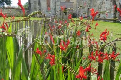 Miniature Location salle Beauvais (Oise) - La Maladrerie Saint Lazare #18 Location salle Beauvais (Oise) - La Maladrerie Saint Lazare #22