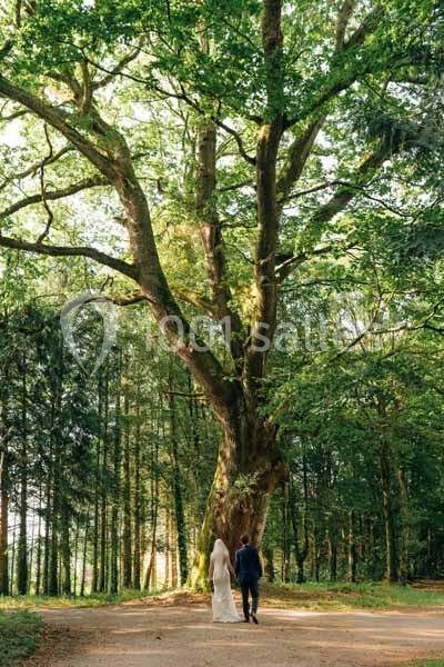 Location salle Saint-Goazec (Finistère) - Château De Kervoazec #24