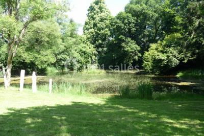 Location salle Saint-Goazec (Finistère) - Château de Kervoazec #21